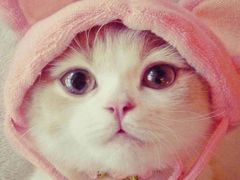 -鸡毛店·川菜(双楠店)