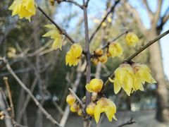 -北京鹫峰国家森林公园