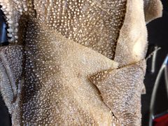 -谭鸭血老火锅(漳州路店)