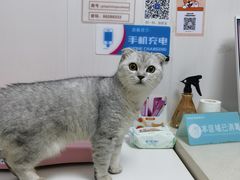-咕噜咕噜宠物医院·CT·肿瘤科·骨科(前海院)