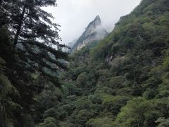 -青峰峡国家森林公园