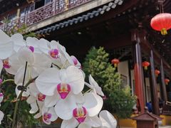 -西林禅寺