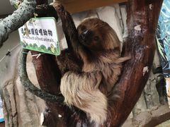 -正佳雨林生态植物园