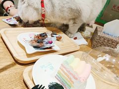 -藏猫猫咖啡主题馆(中央大道店)