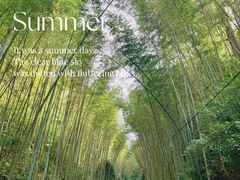 -江西阳明山国家森林公园