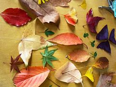 -棉花胡同幼儿园(松树街分园)