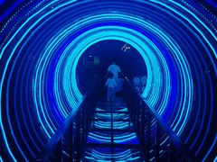 -锦江乐园舞狸花花游园会(夜场专享)