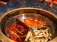 -蜀大侠火锅(森兰花园城店)