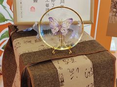 -岭南站NOVA