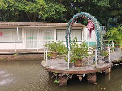 -芭厘·农庄老字号.电饭煲五指毛桃焗鸡