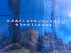 -重庆欢乐海底世界