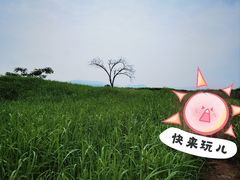 -下渚湖国家湿地公园科普馆