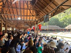 -野象谷景区