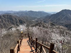 -大岭沟猕猴桃谷风景区