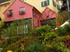 -广东省拱北口岸中国旅行社(华宾营业部)