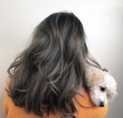 点击看大图 -诗全发型