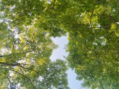 -滨湖塘西河公园