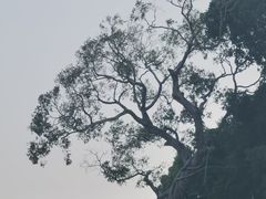 -厦门源昌凯宾斯基大酒店