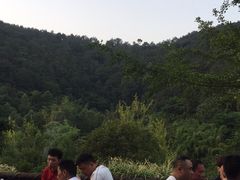 -楠柏弯休闲山庄(梨花溪店)