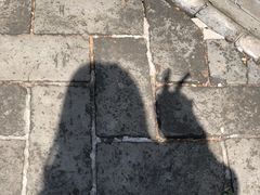 -孔府