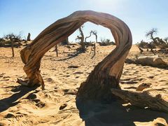 -沙漠世界地质公园