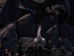 -吉林省自然博物馆