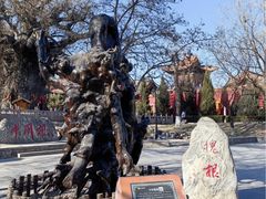 -大槐树寻根祭祖园
