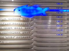 -白鹤梁水下博物馆