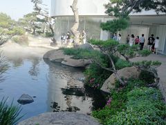 -罗红摄影艺术馆