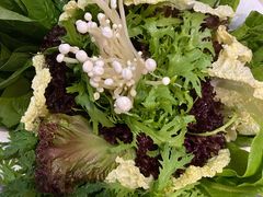 蔬菜拼盘-南门四季铜锅涮肉(左家庄店)