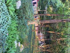 -成都市活水公园