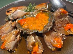-老吉堂上海本帮菜(望京万象汇店)