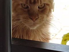 -平行世界·猫咖(首经贸店)