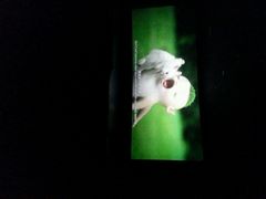 android_upload_pic-中影火星湖影城(江门新会店)