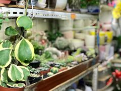 -万商花鸟市场