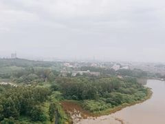 -美的鹭湖森林度假区