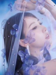 -MuseMarry婚纱(前海嘉里中心店)
