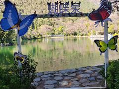 -蝴蝶泉公园