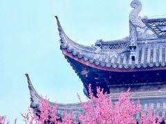 -苏州上方山国家森林公园