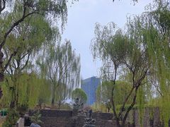 -水车博览园