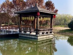 -同里国家湿地公园