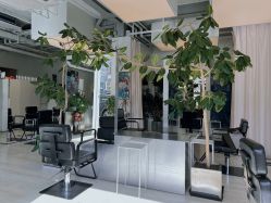 -Hair  Gallery