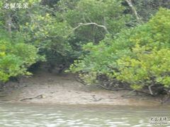 -东寨港红树林旅游区