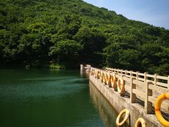 -龙道沟景区