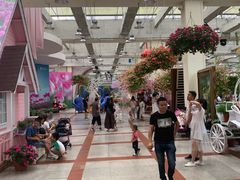 -百万葵园