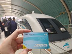 -龙阳路磁悬浮列车总站-停车场