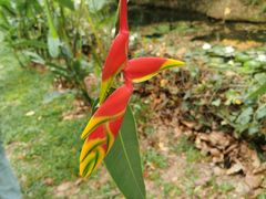 -中国科学院西双版纳热带植物园