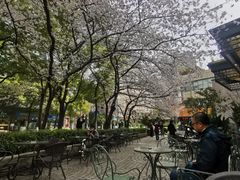 -玛格萝妮比萨屋(四平店)