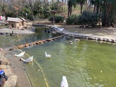 -南湾湖