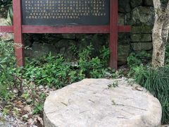-龙井村
